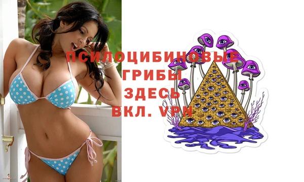 бошки Арсеньев