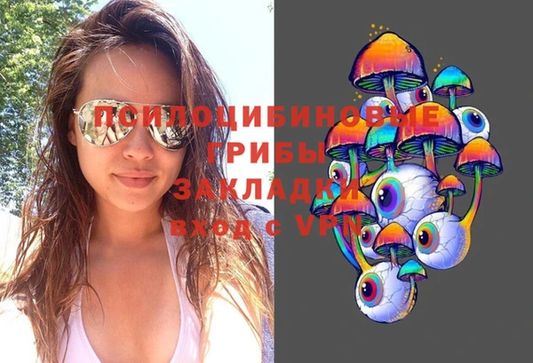 гидропоника Армянск
