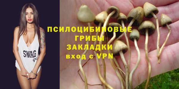 бошки Арсеньев