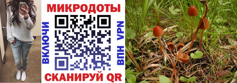 Галлюциногенные грибы Psilocybe  Купить  Невьянск 